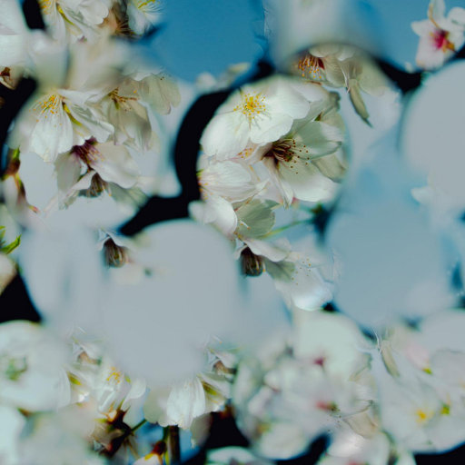 啊别项了,别项了
